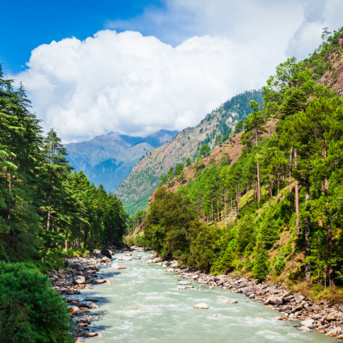 The Manali Discovery